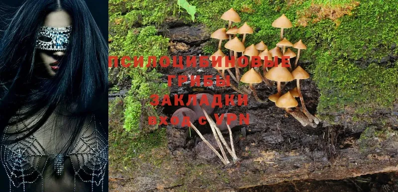 Псилоцибиновые грибы MAGIC MUSHROOMS  Шумерля 